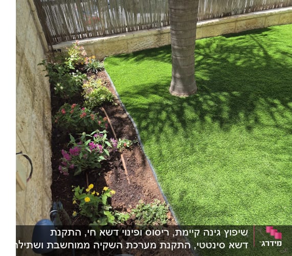 גינה עם דשא ועצים, צינור השקיה ופרחים צבעוניים